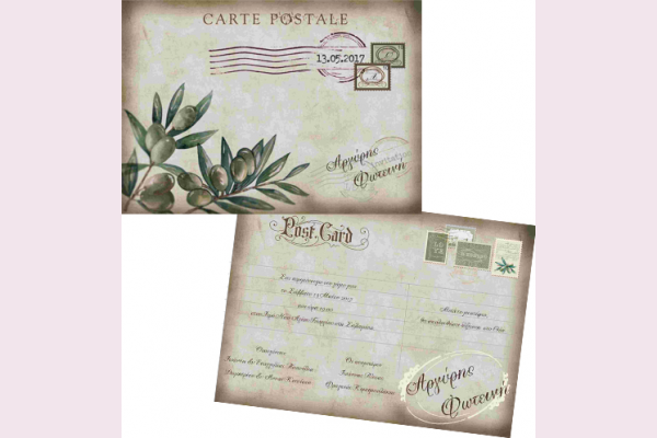 Vintage κλαδί ελιάς post card
